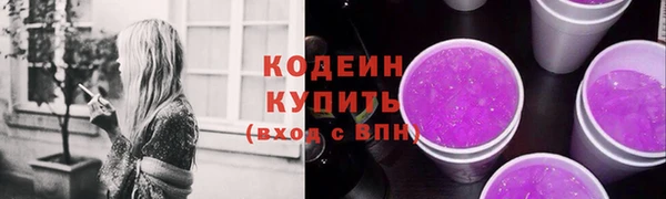 соль ск Кукмор