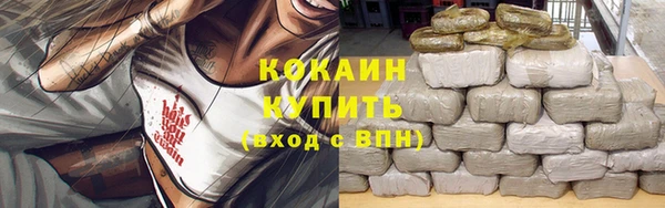соль ск Кукмор